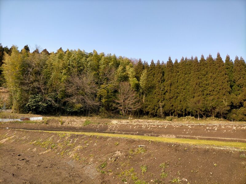 ファイル:1501 15番臥龍院.jpg