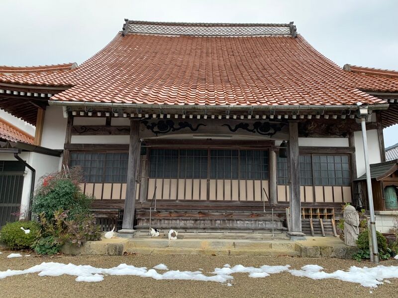 ファイル:1804圓光寺本堂2.jpg
