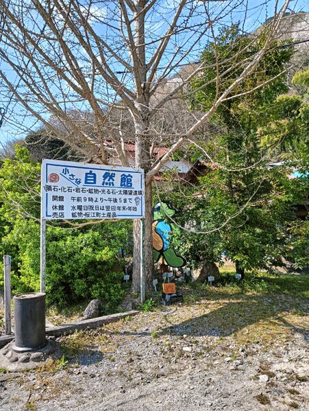 ファイル:小さな自然館.jpg