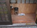 2025年6月4日 (水) 13:46時点における版のサムネイル