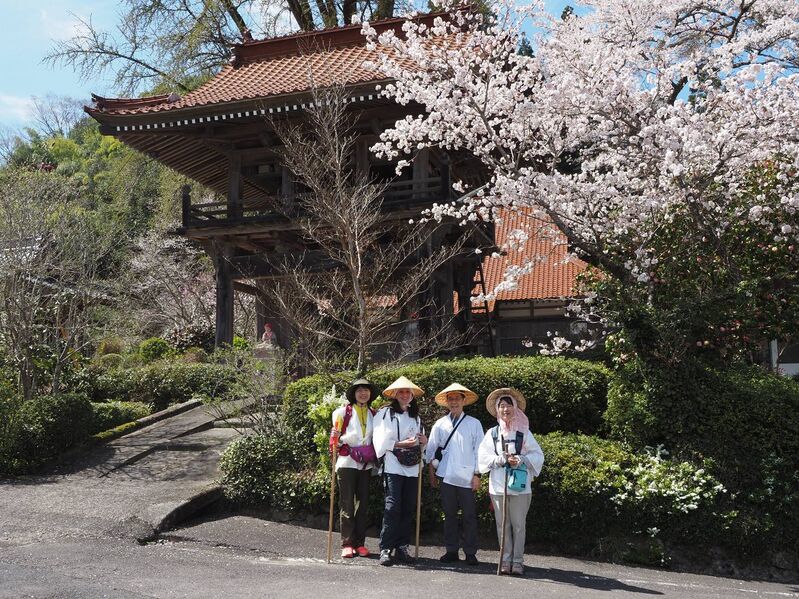 ファイル:2303長江寺山門 (2).jpg