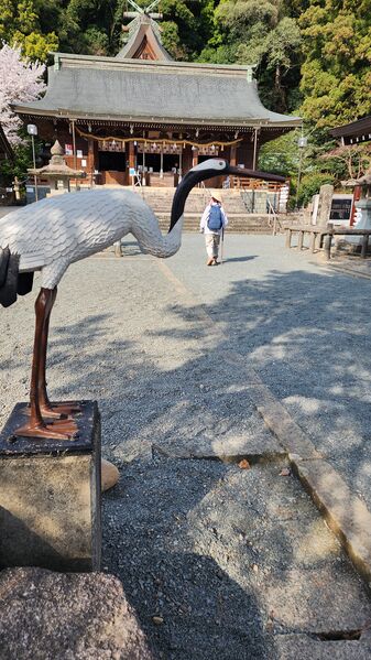 ファイル:0909物部神社のつる.jpg
