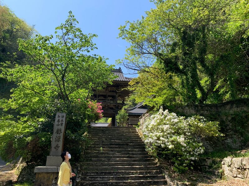 ファイル:0503勝源寺山門.jpg