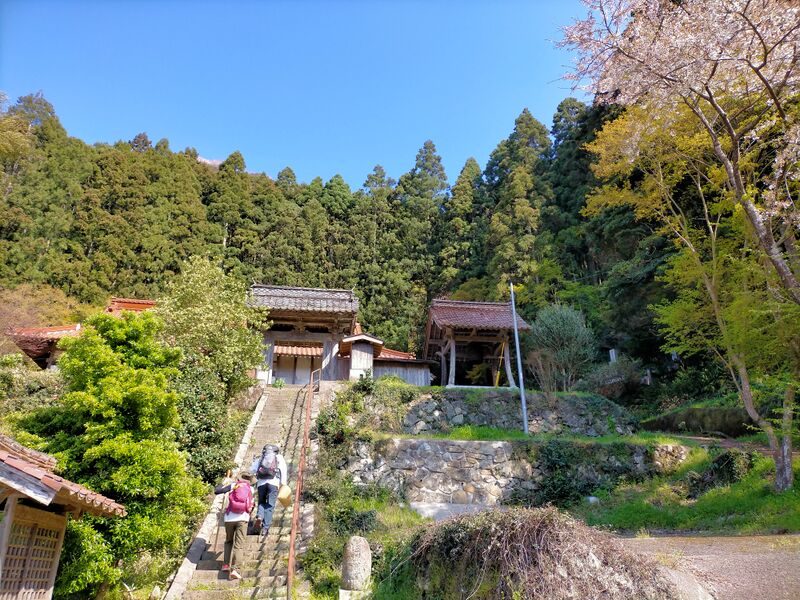 ファイル:3102清泰寺山門.jpg