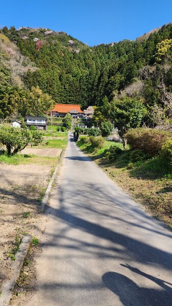 ファイル:3110清泰寺遠景 (2).jpg